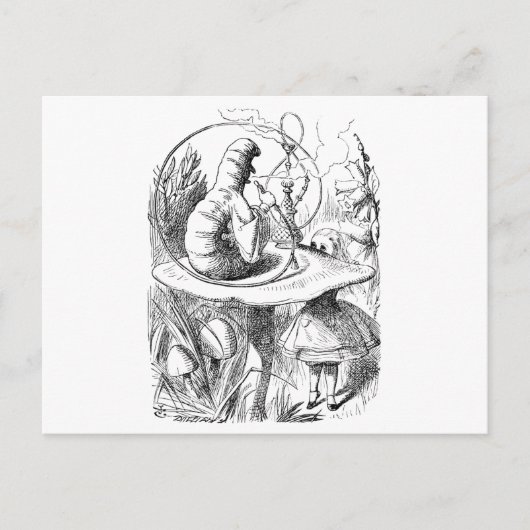 Alice raadpleegt de Caterstyle Briefkaart (Voorkant)