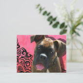 Alice the Boxer Pup van Jen Geraghty Briefkaart (Staand voorkant)