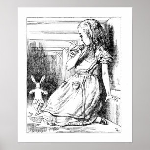 Alice werd groot poster