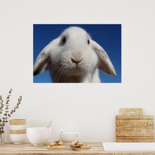 Alice - White Lop Rabbit Poster (Keuken)