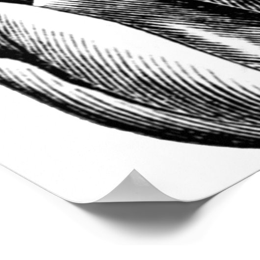 Alice White Rabbit Wonderland Classic Poster (Hoek)