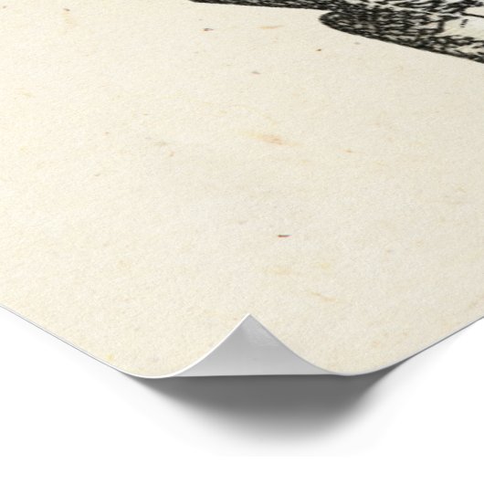 Alice - wit konijn 1865 poster (Hoek)