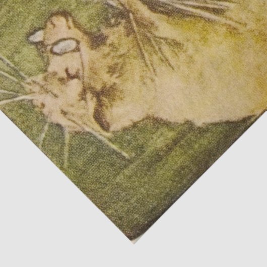 Alice's avonturen in Wonderland  Boat Tissuepapier (Detail)