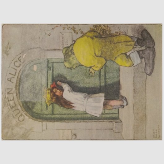  Alice's avonturen in Wonderland de Kikker Tissuepapier (Voorkant)