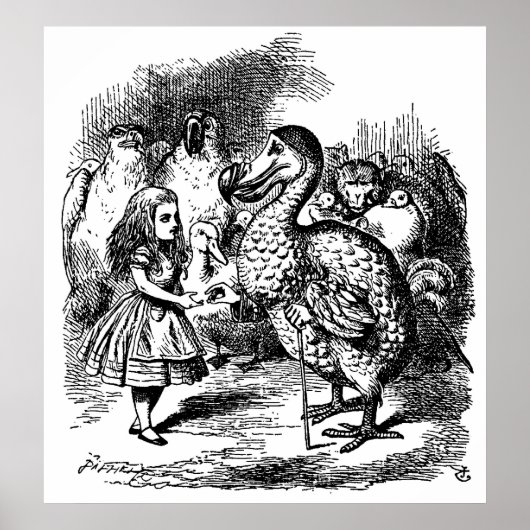 Alice's avonturen in Wonderland Illustratie Poster (Voorkant)