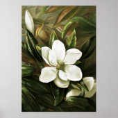 Alicia H. Laird: Magnolia Grandflora Poster (Voorkant)