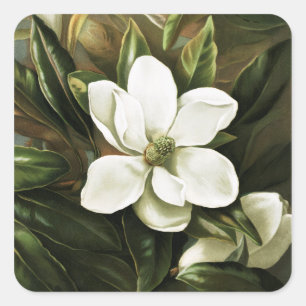 Alicia H. Laird: Magnolia Grandflora Vierkante Sticker