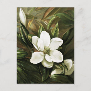 Alicia H. Vogel: Magnolia Grandflora Briefkaart