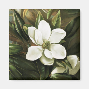 Alicia H. Vogel: Magnolia Grandflora Magneet