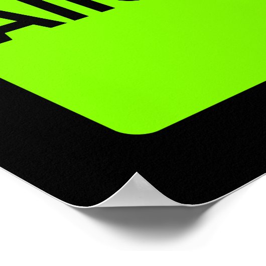 Alien Abduction Zone Poster (Hoek)