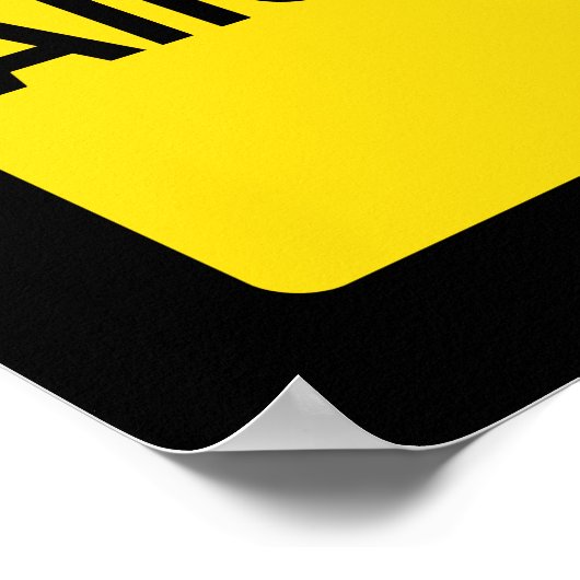 Alien Abduction Zone Poster (Hoek)