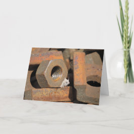 Alien Bolt-Hole Kaart