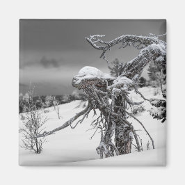 Alien-boommagneet Magneet