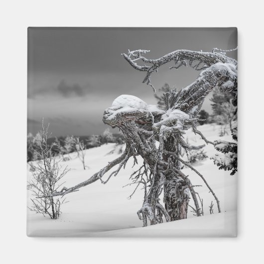 Alien-boommagneet Magneet (Voorkant)