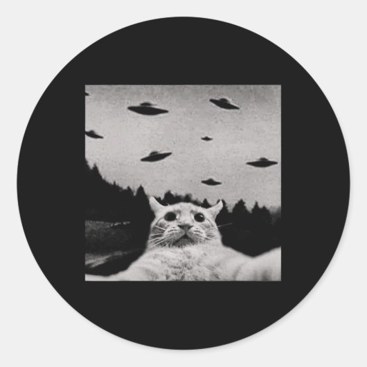 Alien Cat UFO - Klassieke pasvorm Ronde Sticker (Voorkant)