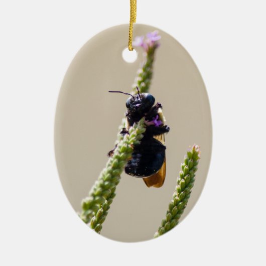 Alien Circus Bee Keramisch Ornament (Voorkant)