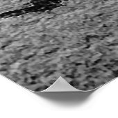 Alien Creature Poster (Hoek)