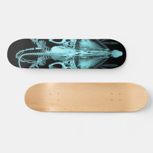 Alien Creature Skeleton Skateboard (Horizontaal)