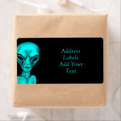 Alien Etiket (Insitu)