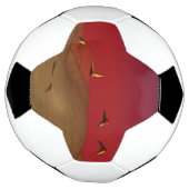 Alien Flight Voetbal (Gedraaid)