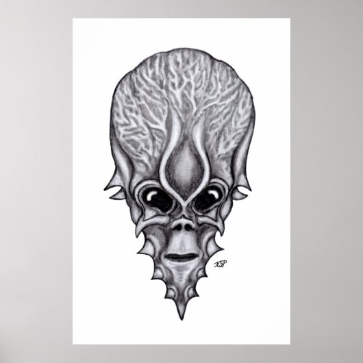 Alien Gezicht, Afrikaanse Schedel Gezichtsreconstr Poster (Voorkant)