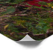 Alien Graffiti Poster (Hoek)