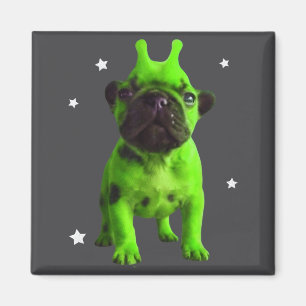 Alien Hond Meme Retro Grappige Hond Vintage Ruimte Magneet