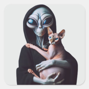 Alien Knuffelen Sphynx Kat Ufo Ontvoeringsgebied 5 Vierkante Sticker