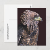 Alien Queen Briefkaart (Voorkant / Achterkant)