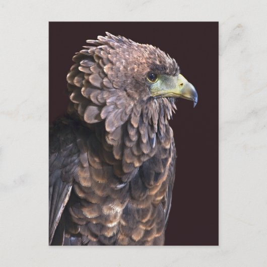 Alien Queen Briefkaart (Voorkant)