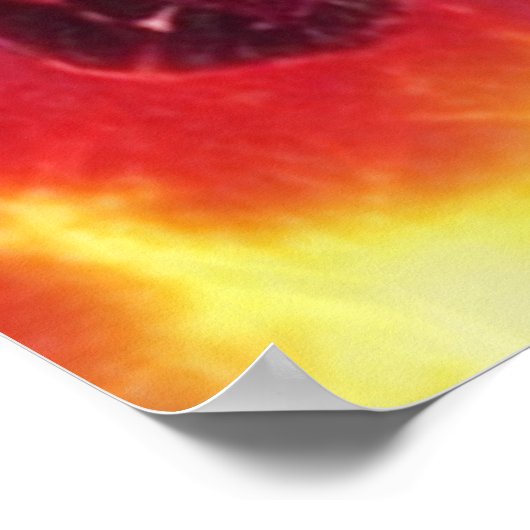 Alien Raven 16 Poster (Hoek)