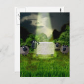 Alien Sheep Experiment Briefkaart (Voorkant / Achterkant)