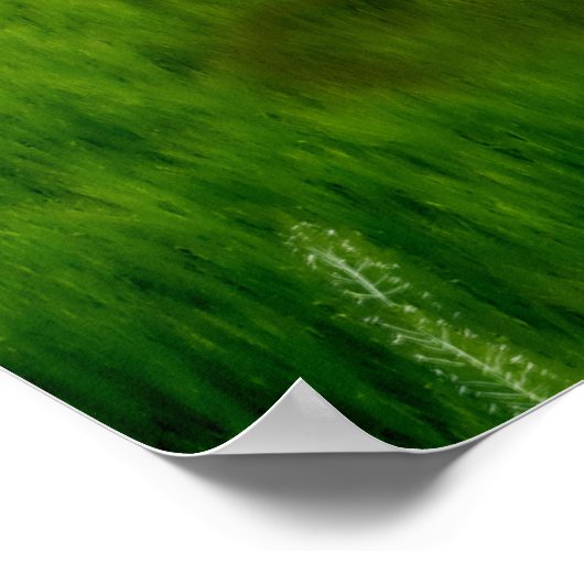 Alien Sheep Experiment Poster (Hoek)