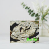 Alien Skull in Nation Briefkaart (Staand voorkant)