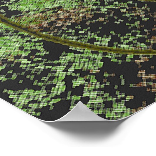 Alien Vision Poster (Hoek)