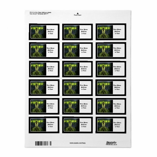 Alien Visitor Etiket (Full Sheet)