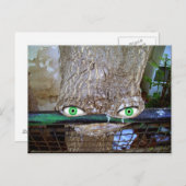 Alienboom Briefkaart (Voorkant / Achterkant)