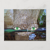 Alienboom Briefkaart (Voorkant)