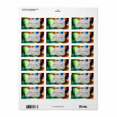 Alienkat in de oufsauer etiket (Full Sheet)