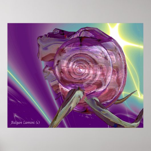 ALIENNEREIDE, NYMPH WATER, PINK SEASHELL-Sci-Fi Poster (Voorkant)