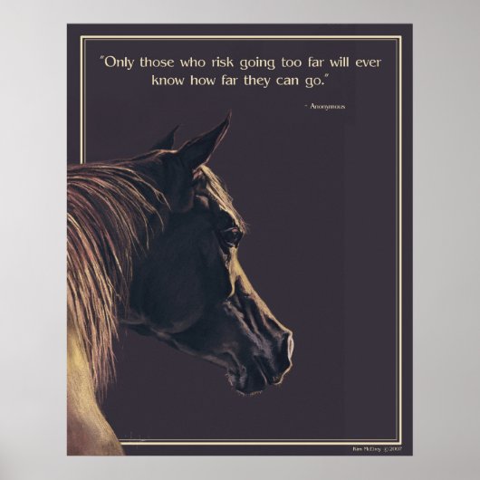 Alight Poster (Voorkant)