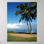 Ali'i Beach 19 Poster (Voorkant)