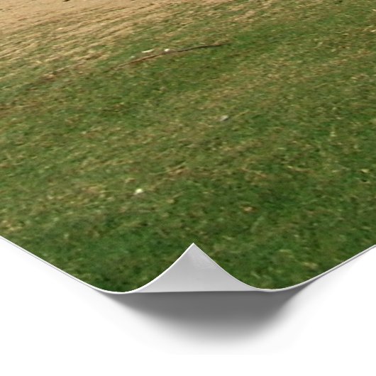 Ali'i Beach 19 Poster (Hoek)