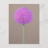 Alium Briefkaart (Voorkant)
