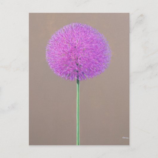 Alium Briefkaart (Voorkant)
