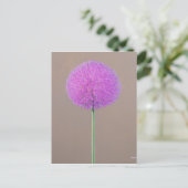 Alium Briefkaart (Staand voorkant)