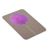 Alium Magneet (Rechterzijde)