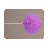 Alium Magneet (Horizontaal)