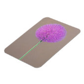 Alium Magneet (Linkerzijde)