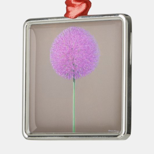 Alium Metalen Ornament (Links)
